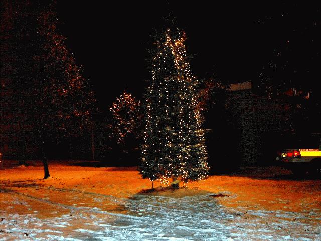 2005 Christmas Tree in JFK Commons Pk